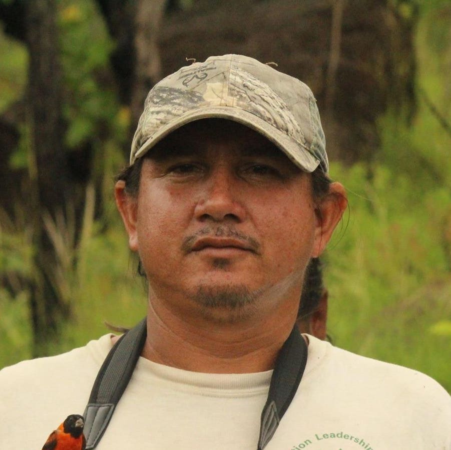 How Are Indigenous Groups In Guyana Saving The Bird They &lsquo;Discovered?&rsquo;